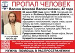 g_gK_kQNOeA.jpg g_gK_kQNOeA.jpg